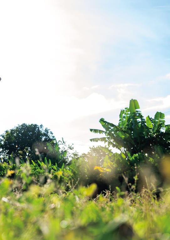 图片[86]-#瀬戸環奈写真集 喜欢上你了 - 全本免费在线观看-阅图吧