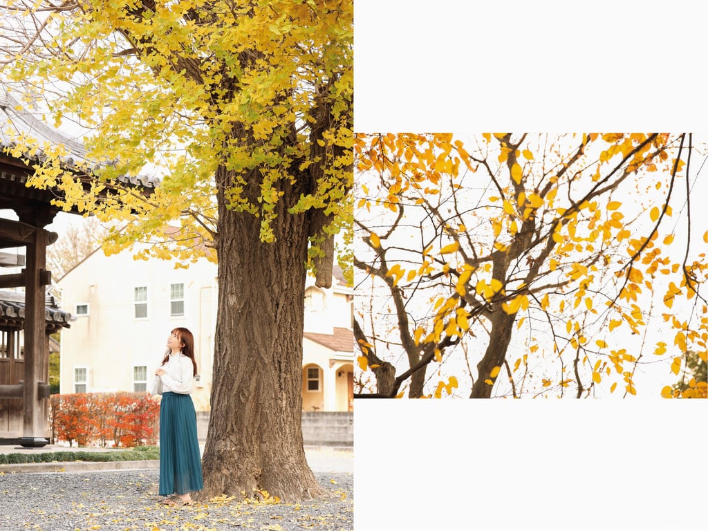 图片[24]-チラリズムBEST 无防备的瞬间 - 在线免费观看-阅图吧