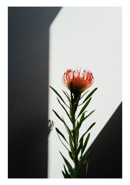 图片[2]-#とられち 山岸逢花 - 全本免费在线观看-阅图吧