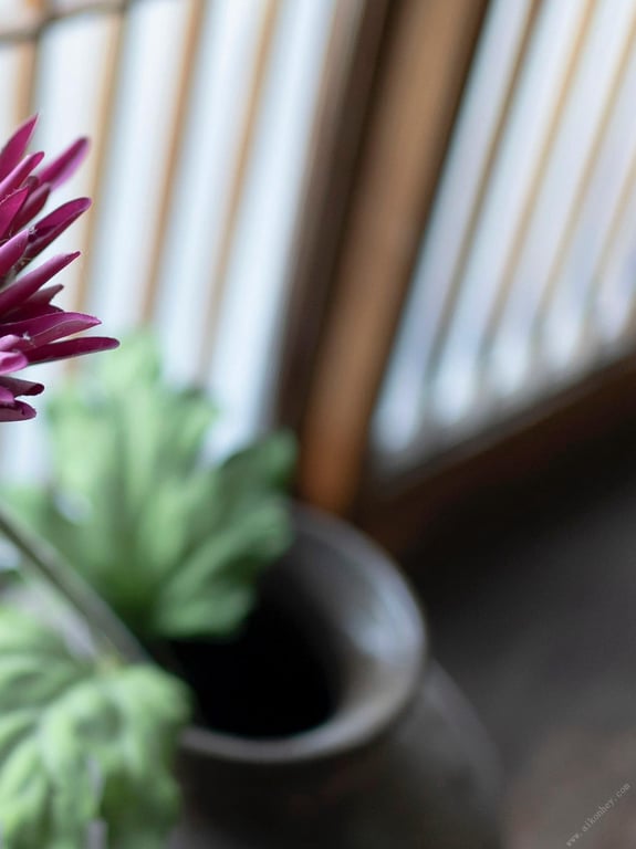 图片[201]-#2022.04.02 七菜乃 裸体写真集『 Dream 』 - 全本免费在线观看-阅图吧