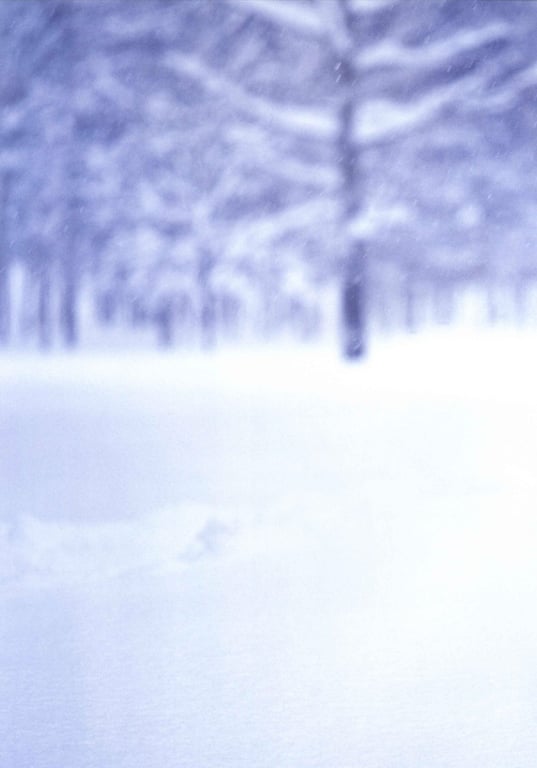 图片[70]-#藤本美贵 – リアル226 (见开连结済) - 全本免费在线观看-阅图吧