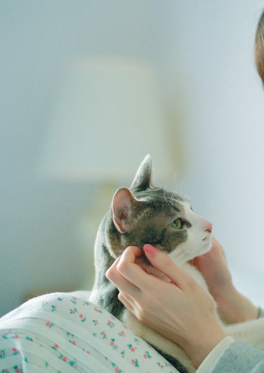 图片[113]-[電子書籍限定カバー･電子限定特典付] 佐佐木琴子1st写真集 黎明的梦 (声グラe-books) - 在线免费观看-阅图吧