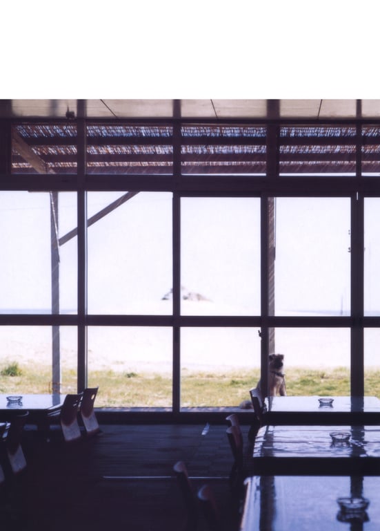 图片[88]-#(月刊シリーズ 069) – 月刊069 山崎真実 - 全本免费在线观看-阅图吧