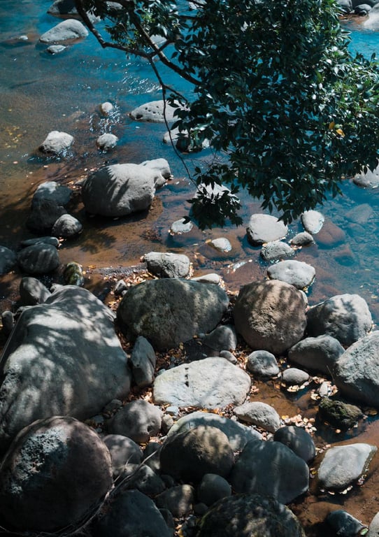 图片[29]-#極致 裸体写真集 (Wunder_Publishing_House.) - 全本免费在线观看-阅图吧