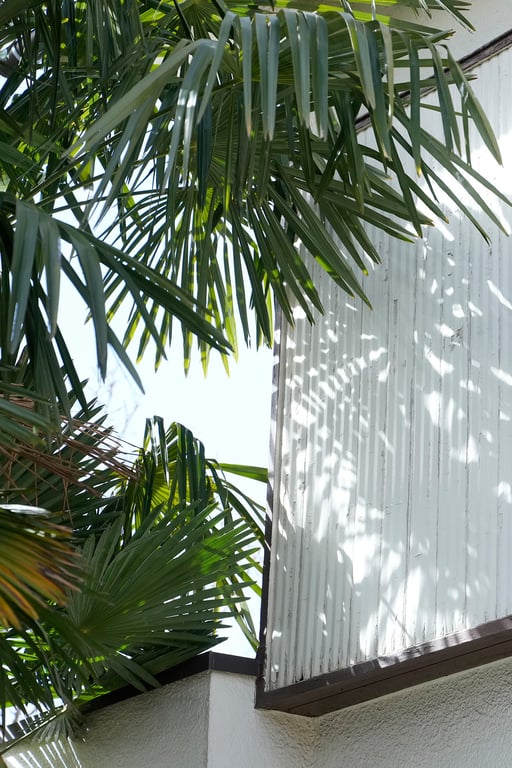 图片[12]-Ruka Kitano 北野瑠華 - Shy Body 娇羞玉体 - 在线免费观看-阅图吧