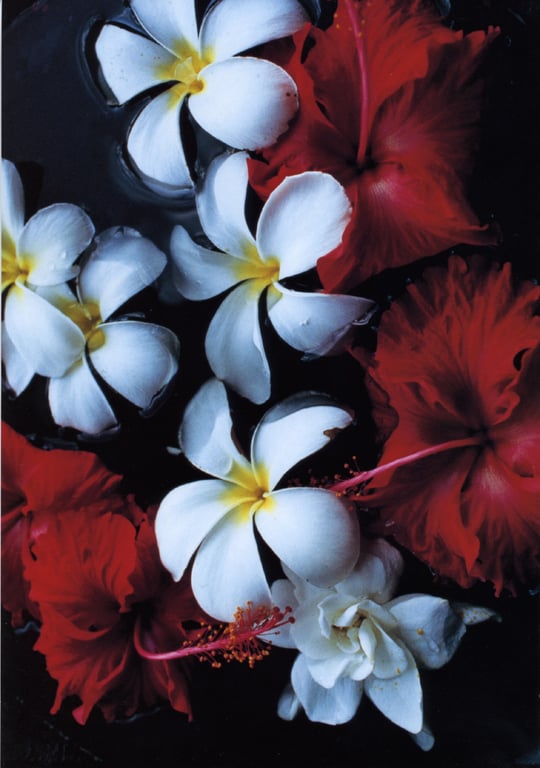 图片[163]-#釈由美子 – CHAOS - 全本免费在线观看-阅图吧