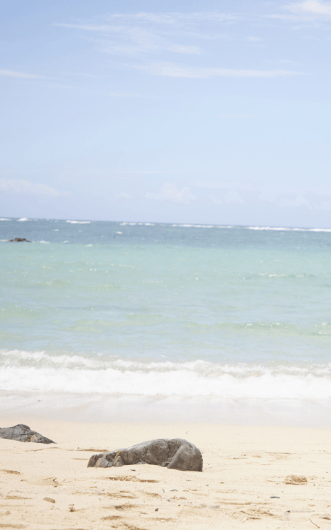 图片[50]-#週刊実話WJガールズデジタル写真集 藤嶋もなみ - 全本免费在线观看-阅图吧