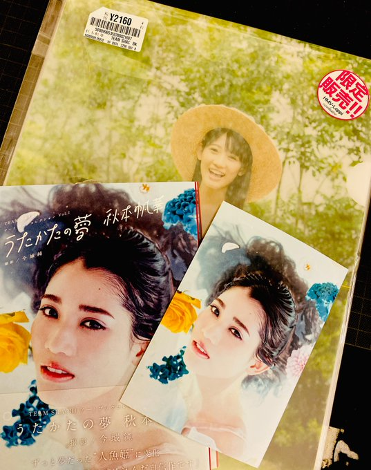 TEAM SHACHI ART BOOK COLLECTION Vol.1 泡沫之梦 秋本帆华\extras-阅图吧