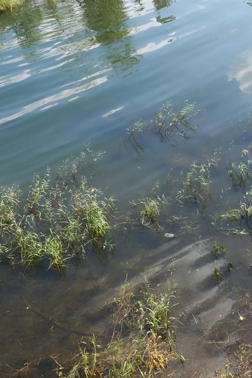 图片[4]-#Iori 七瀬伊織【裸体写真集】 ペーパーバック - 全本免费在线观看-阅图吧