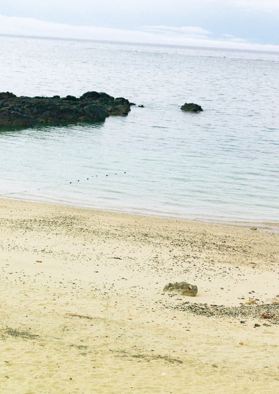 图片[10]-Nagisa Saito 齐藤渚 - Nagisa 渚 (2023-07-13) - 在线免费观看-阅图吧