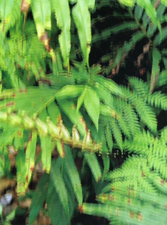 图片[86]-#小島可奈子 – 叶叶 ～KANA KANA～ - 全本免费在线观看-阅图吧