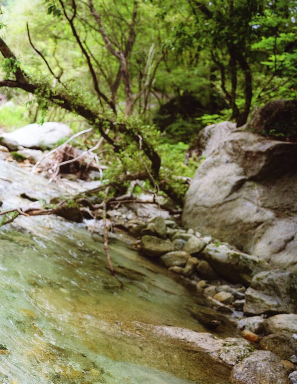 图片[93]-Nao Kosaka 小坂菜绪 1st Photobook - Who are you 你是谁 (2021-06-29) (Canon scan) - 在线免费观看-阅图吧