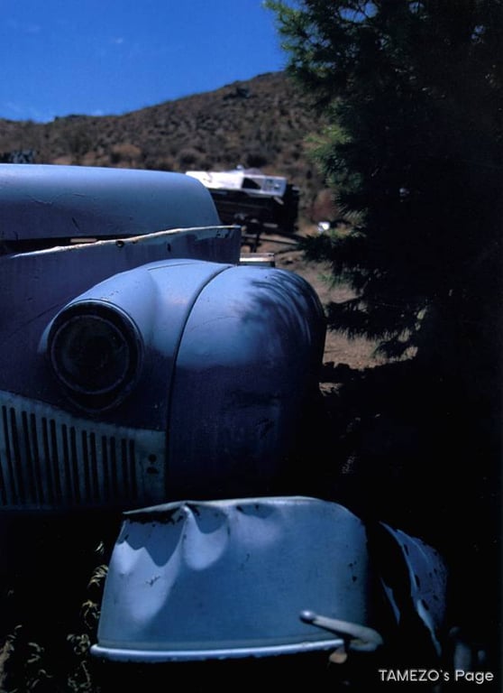 图片[46]-#乙叶 – LOVE STORY - 全本免费在线观看-阅图吧