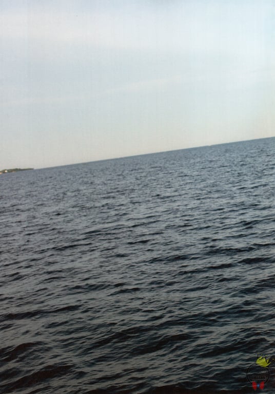 图片[41]-#AKB48 团队8 大西桃香1st写真集 梦的实现方法。 - 全本免费在线观看-阅图吧