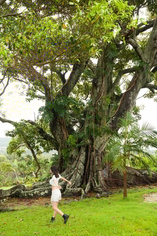 图片[68]-#【数字限定】菊地姬奈写真集「another memory」大容量150页 - 全本免费在线观看-阅图吧