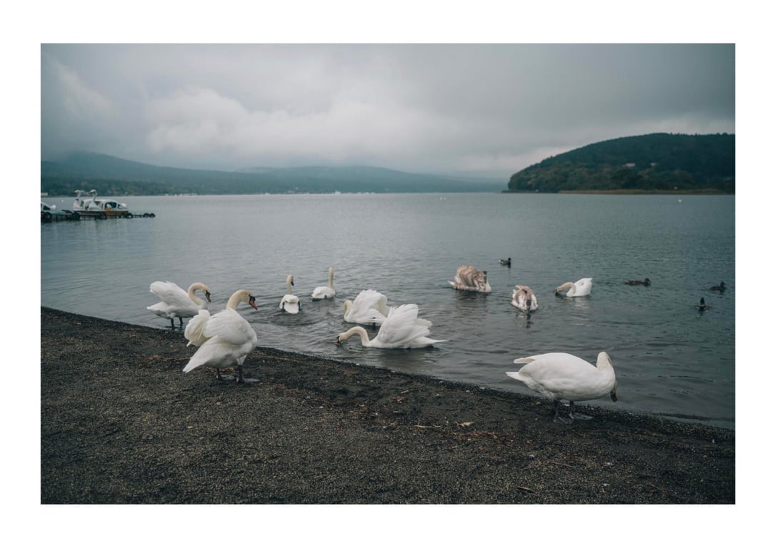 图片[25]-Lisa Nitou 仁藤利沙 - Desires 欲求 - 在线免费观看-阅图吧