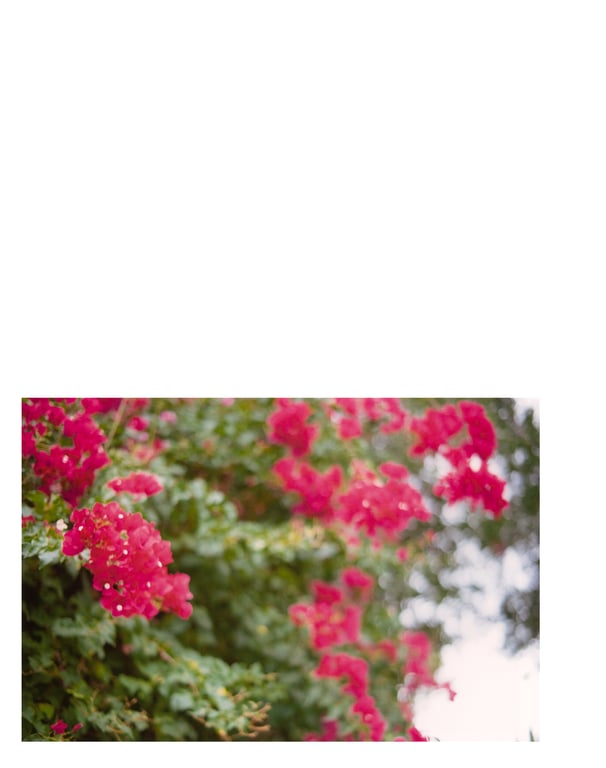 图片[96]-白石麻衣写真集「护照」 (new scan) - 在线免费观看-阅图吧