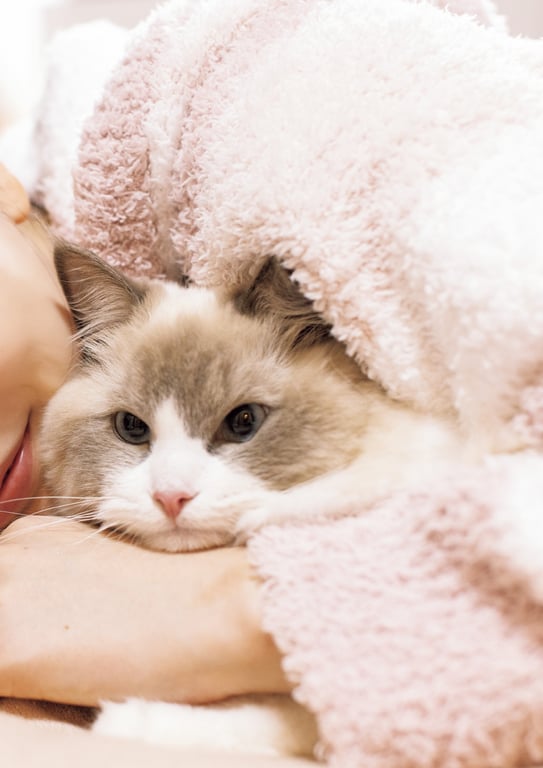 图片[34]-2024.03.20 石川澪写真集「21」 - 在线免费观看-阅图吧