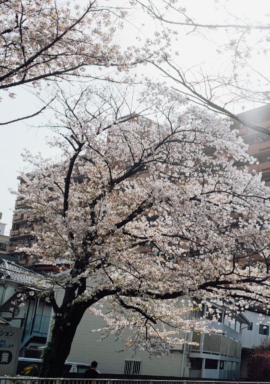 图片[103]-#七ツ森りりデジタル写真集 被拍走(No Watermark) - 全本免费在线观看-阅图吧