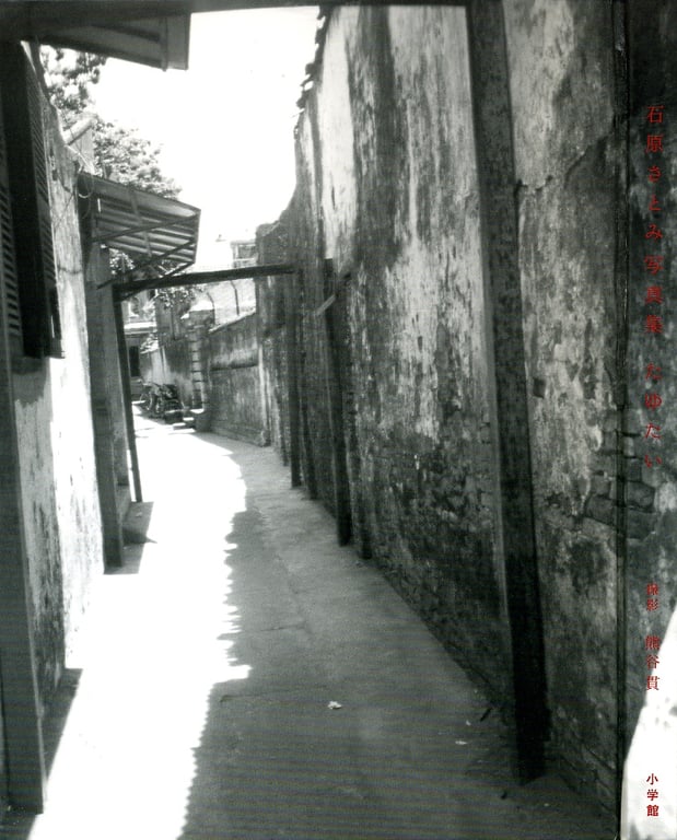 图片[3]-#Satomi Ishihara 石原聪美 – Tayutai 摇曳(20051210) - 全本免费在线观看-阅图吧