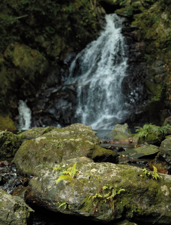 图片[58]-#宍戸里帆1st写真集 纯真报告 アサ芸SEXY女優写真集 - 全本免费在线观看-阅图吧