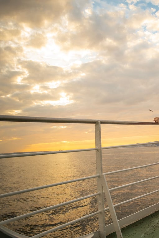 图片[57]-#永冈怜子「花一华－ｙｏｕｅｎ－」 周刊现代digital写真集 - 全本免费在线观看-阅图吧