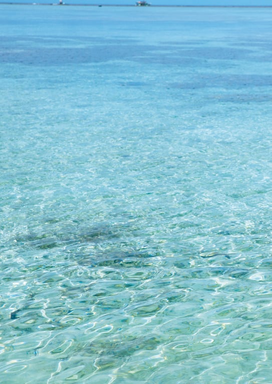 图片[97]-#Fuka Koshiba 小芝风花 写真集 F (2019.01.27) - 全本免费在线观看-阅图吧