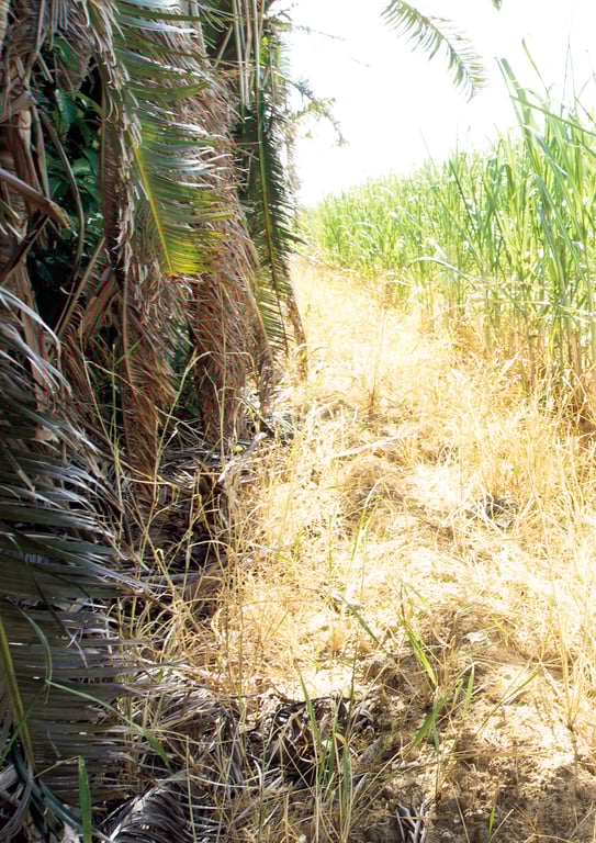 图片[58]-#【電子版だけの特典カット付き】奈月瀬名写真集『senai sm』 - 全本免费在线观看-阅图吧