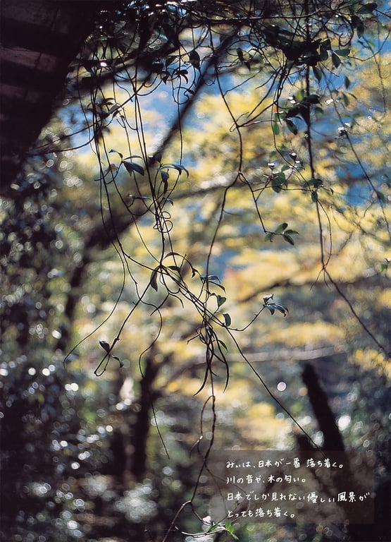 图片[14]-#伊藤瞳 – NAKED - 全本免费在线观看-阅图吧