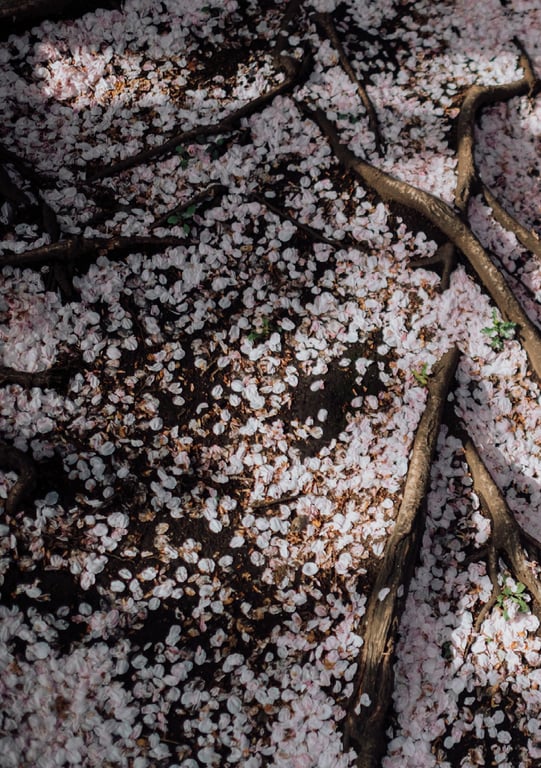 图片[113]-#七ツ森りりデジタル写真集 被拍走(No Watermark) - 全本免费在线观看-阅图吧