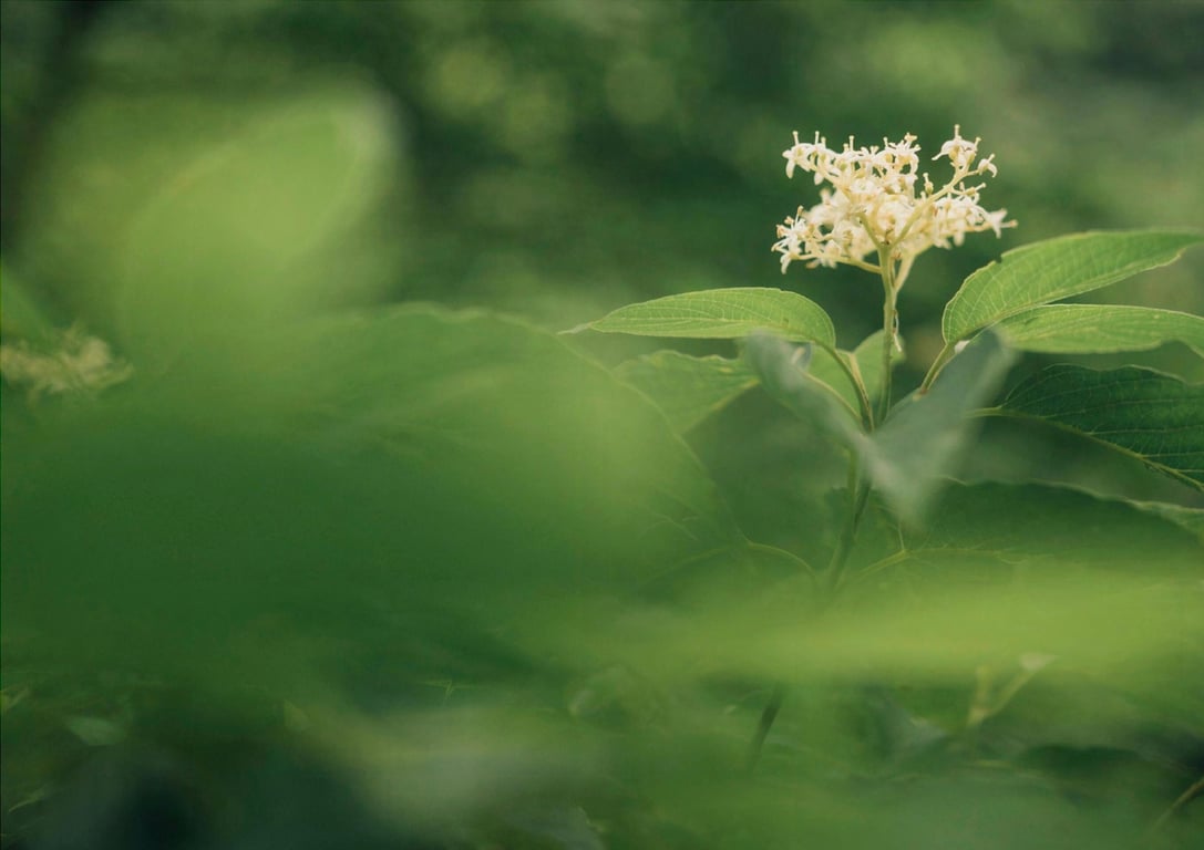 图片[137]-#美东澪 写真集 濡肌 (Wunder Publishing House) - 全本免费在线观看-阅图吧