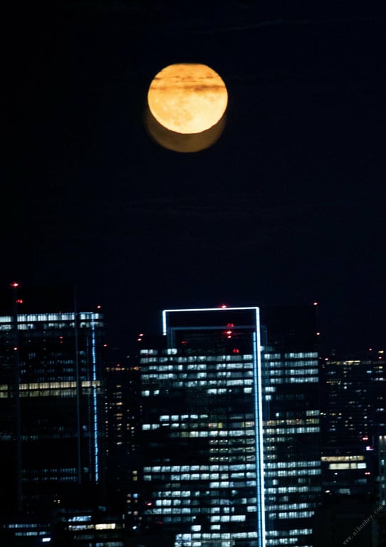 图片[50]-#ベストOfフミカ 砕けて光るガラクタな世界に 週刊ポストデジタル写真集 - 全本免费在线观看-阅图吧