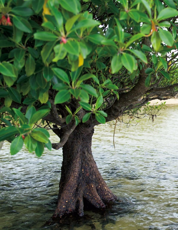 图片[98]-#JULIA写真集 secret J 豪华爱藏版 - 全本免费在线观看-阅图吧