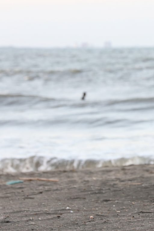 图片[65]-#川崎绫 秘藏档案总集编 PREMIUM数字写真集 - 全本免费在线观看-阅图吧