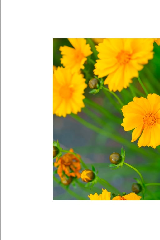 图片[43]-#希代亜美 オフィシャル写真集 白い裸 - 全本免费在线观看-阅图吧