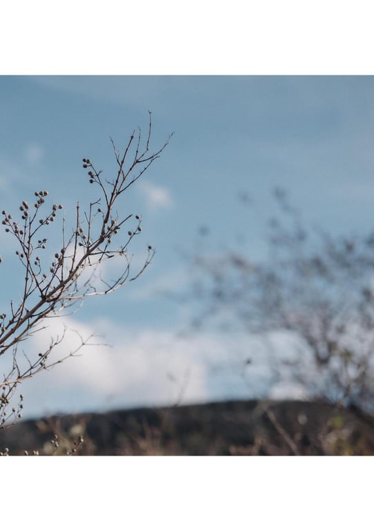 图片[171]-#白肌姫 【大河桃温泉写真集】 (Wunder_Publishing_House.) - 全本免费在线观看-阅图吧