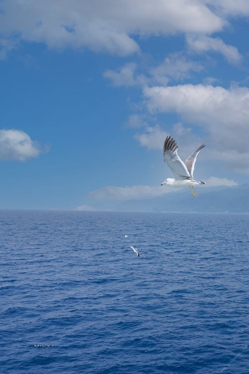 图片[3]-#Asuna Kawai 河合明日奈 – 时间的点滴～与你共度的那座岛上～ (2022-10-14) - 全本免费在线观看-阅图吧