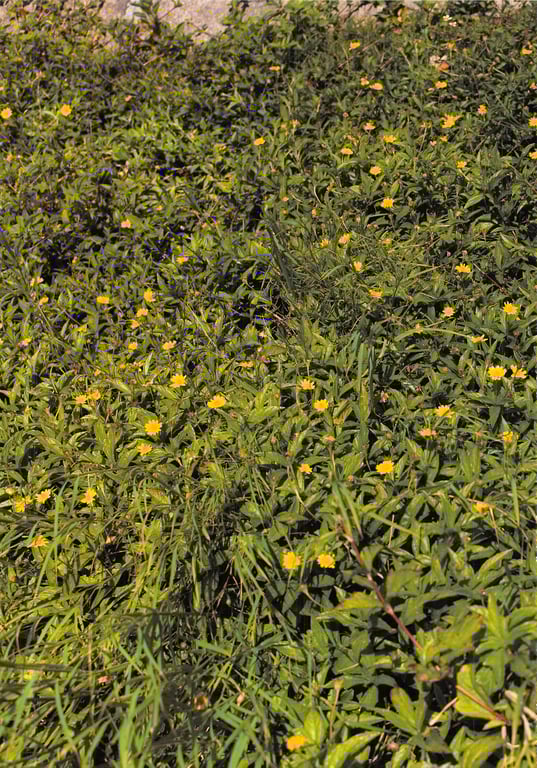 图片[71]-#Madoka Moriyasu – The Monologue of 森 - 全本免费在线观看-阅图吧