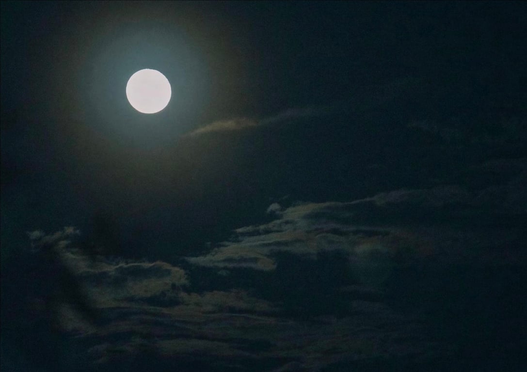 图片[134]-#美东澪 写真集 濡肌 (Wunder Publishing House) - 全本免费在线观看-阅图吧