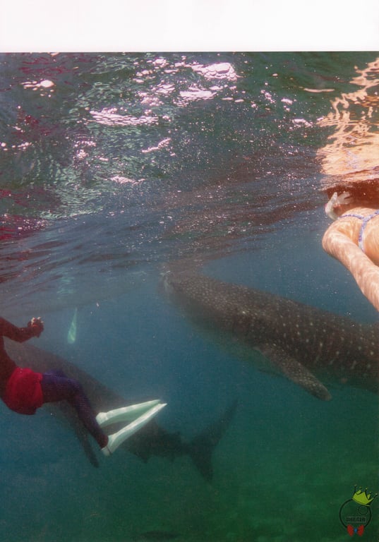 图片[72]-#AKB48 团队8 大西桃香1st写真集 梦的实现方法。 - 全本免费在线观看-阅图吧