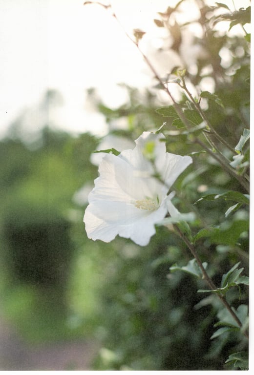 图片[97]-#青山裕企 Photobook 26sets\【青山裕企】青山裕企的写真告白 - 全本免费在线观看-阅图吧