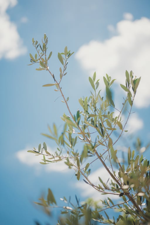 Kenken 跳房子 - Honey-阅图吧