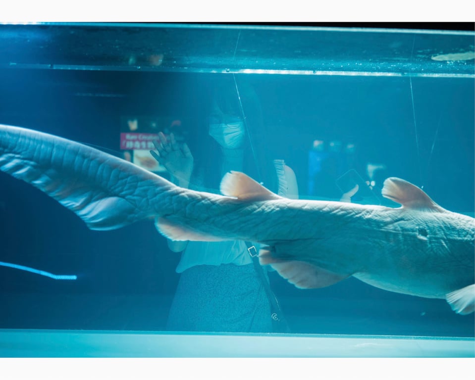 图片[15]-#南の島でわたしと一息つきませんか？ (wunder publishing house) - 全本免费在线观看-阅图吧