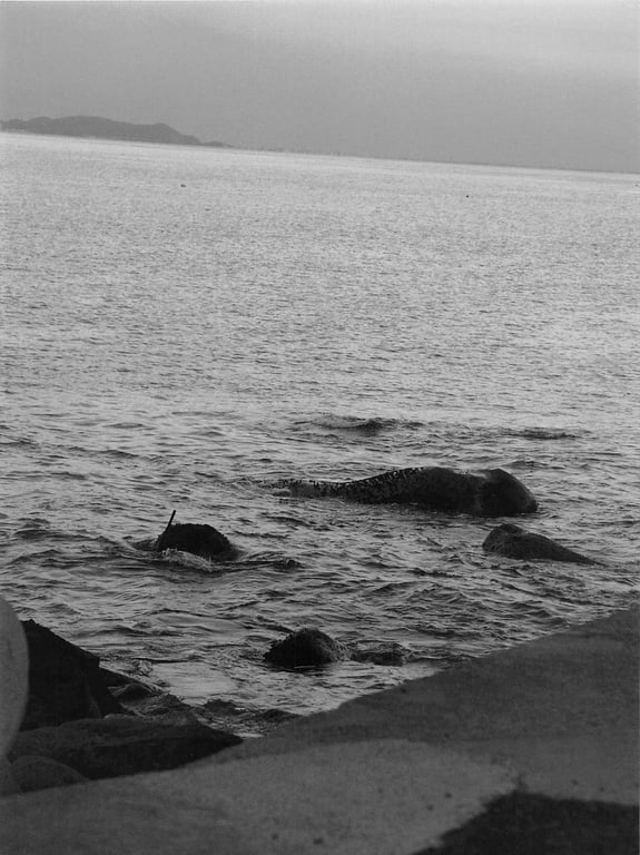 图片[97]-#Rena Matsui – Hemeret - 全本免费在线观看-阅图吧