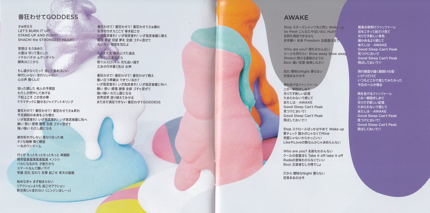 图片[5]-TEAM SHACHI - TEAM (Booklets) (FC, HORIZON, and 柚木 Editions) - 在线免费观看-阅图吧