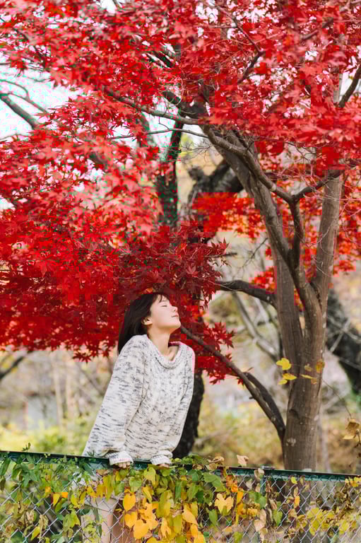 图片[20]-#けん研 (けんけん) 温泉巡游けんけん二泊三日 - 全本免费在线观看-阅图吧