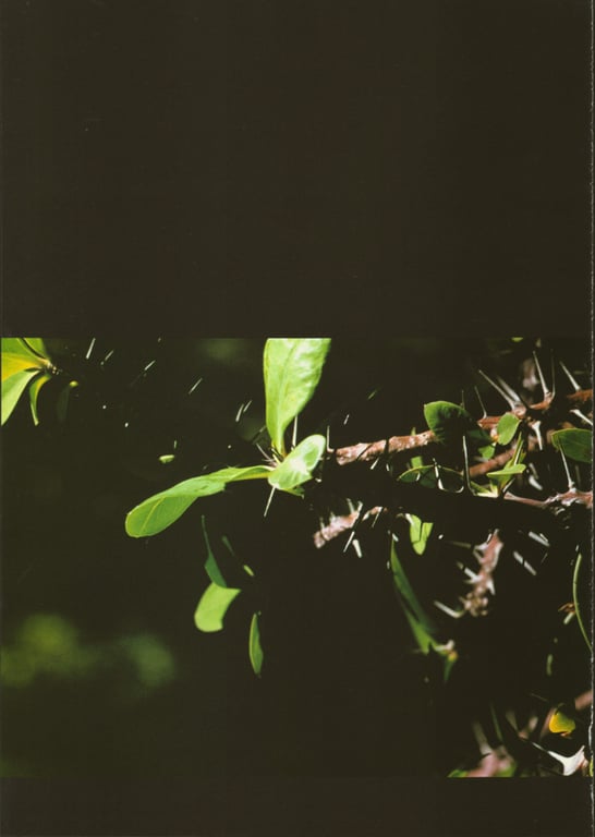 图片[33]-#(月刊系列 040) – 月刊040 安达祐实Special - 全本免费在线观看-阅图吧