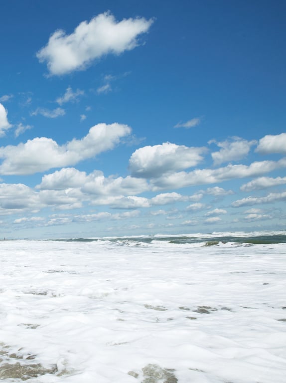 图片[4]-#藤崎里菜写真集 blossom - 全本免费在线观看-阅图吧