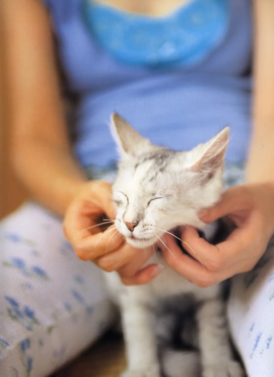 图片[55]-#杏さゆり – ＆ZOO - 全本免费在线观看-阅图吧