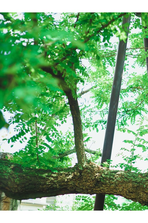 图片[35]-2023.12.01 白滨美兔「鸟取诞生的超逸才！」【Young Champion Diggra】 - 在线免费观看-阅图吧